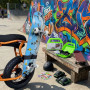 FREE SKATE - Skateboard, Longboard, Surf Skate Rack for Bicycles | Fits All Frame Types