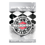Viti truck Skateboard INDEPENDENT Genuine Parts Phillips bolts 1" in Silver Black