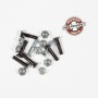 Viti truck Skateboard INDEPENDENT Genuine Parts Phillips bolts 1" in Silver Black