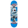 Skateboard Completo BIRDHOUSE stage 1 Hawk Spiral Blue 7.75" x 31" pollici