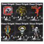 POWELL PERALTA Bones Brigade Lapel Pin spilla in metallo all series