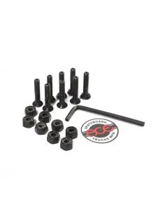 Viti Truck Skateboard ACE Hollow misura 1" testa brugola 2