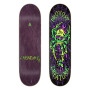 Tavola deck Skateboards CREATURE Provost Skull Spider Pro 8.47" x 31,98"